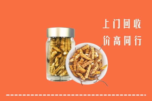 长沙市岳麓回收冬虫夏草